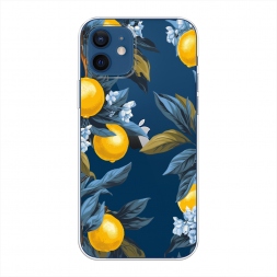 ����������� ����� ������ ������ ��� �� iPhone 12 Pro