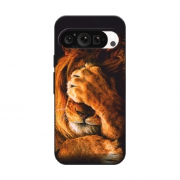������� ����������� ����� ������� ���� �� Google Pixel 9 Pro