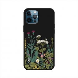 ������� ����������� ����� ����� ������� ����� �� iPhone 12 Pro