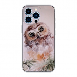����������� ����� ���� �� ������� �� iPhone 13 Pro
