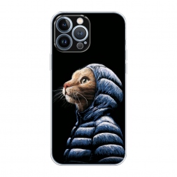����������� ����� ��� � �������� �� iPhone 13 Pro Max