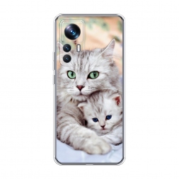 ����������� ����� ����� � ������ �� Xiaomi 12T Pro
