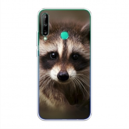����������� ����� ���� �� Honor 9C
