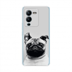 ����������� ����� ������� ���� �� Vivo V25 Pro 5G