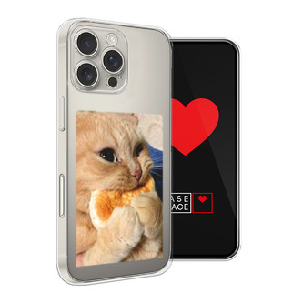 ����������� ����� ����� ������ �� iPhone 16 Pro Max