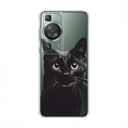 ����������� ����� ������ ��� 2 �� Huawei P60