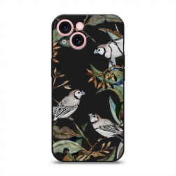 ������� ����������� ����� ����� � ������ �� iPhone 15