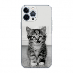 ����������� ����� ������������� ������� �� iPhone 13 Pro Max