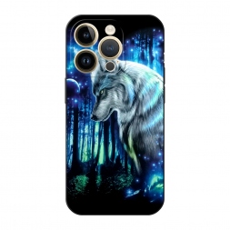 ������� ����������� ����� ��������� ���� �� iPhone 14 Pro Max