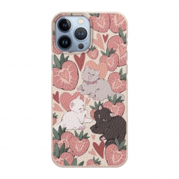  ���������� ������ �� iPhone 13 Pro Max