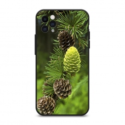 ������� ����������� ����� ��� 13 �� iPhone 11 Pro Max
