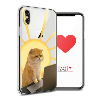 ����������� ����� �������� �������� �� iPhone XS Max (10S Max)
