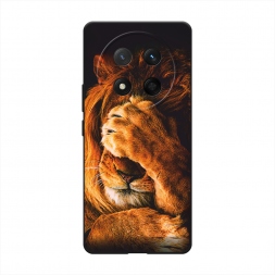 ������� ����������� ����� ������� ���� �� Honor X60 Pro