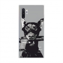 ����������� ����� �������� �� Samsung Galaxy Note 10 Plus