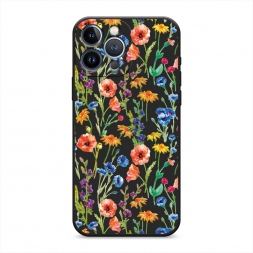 ������� ����������� ����� ���� � �������� ��� �� iPhone 13 Pro Max