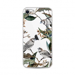 ����������� ����� ����� � ������ �� iPhone SE 2020