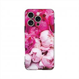 ������� ����������� ����� ����� ������-����� �� iPhone 16 Pro