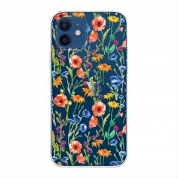 ����������� ����� ���� � �������� ��� �� iPhone 12 Pro