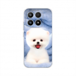 ����������� ����� ����� ���� �� Xiaomi 17