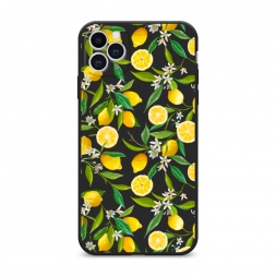 ������� ����������� ����� ������ ������ �� iPhone 11 Pro