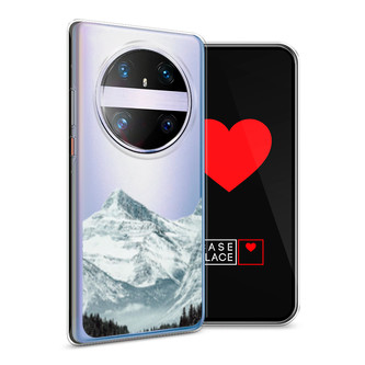 ����������� ����� ���� ��� 1 �� Huawei Mate 60 Pro