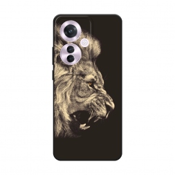 ������� ����������� ����� ������� ��� 2 �� Oppo Reno 11F
