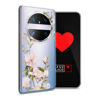 ����������� ����� ��������� �������� �� Huawei Mate 60 Pro