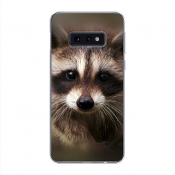 ����������� ����� ���� �� Samsung Galaxy S10E