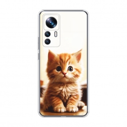 ����������� ����� ��������� ������ �� Xiaomi 12T Pro