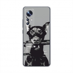 ����������� ����� �������� �� Xiaomi 12