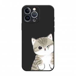 ������� ����������� ����� ������ ����� �� iPhone 13 Pro Max
