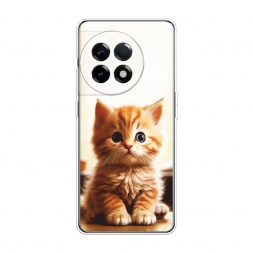 Силиконовый чехол Удивлённый котёнок на OnePlus 11R