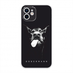 ����������� ����� ���� ��������� �� iPhone 12 mini