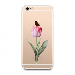 ����������� ����� ������� ������� ���� �� iPhone 6 Plus/6S Plus