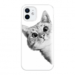 ����������� ����� ��� ������� �����-����� �� iPhone 12