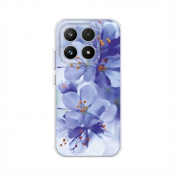 ����������� ����� ���������� ������ �� Xiaomi 17