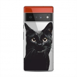 ����������� ����� ������ ��� 2 �� Google Pixel 6 Pro