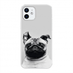����������� ����� ������� ���� �� iPhone 12