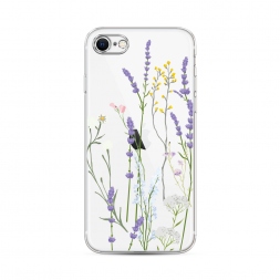 ����������� ����� ������� ������� ����� �� iPhone SE 2022