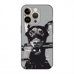 ������� ����������� ����� �������� �� iPhone 14 Pro Max
