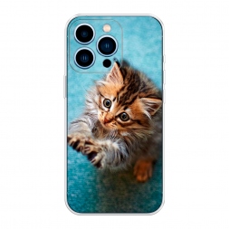 ����������� ����� ������� ������ ���� �� iPhone 13 Pro
