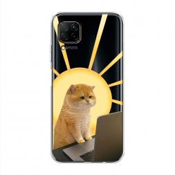 ����������� ����� �������� �������� �� Huawei Nova 6 SE