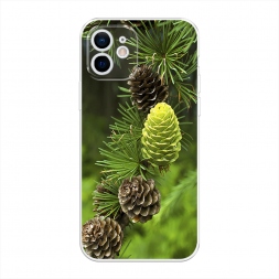 ����������� ����� ��� 13 �� iPhone 12 mini