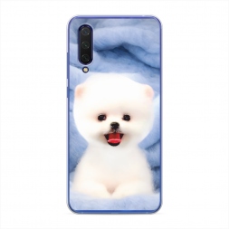 ����������� ����� ����� ���� �� Xiaomi Mi 9 Lite