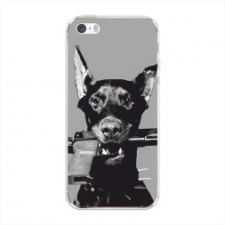 ����������� ����� �������� �� iPhone 5/5S/SE