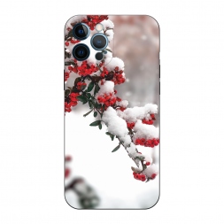 ������� ����������� ����� ���� 8 �� iPhone 12 Pro Max