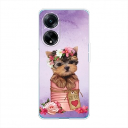 ����������� ����� ϸ��� ��� ���� �� Oppo A98