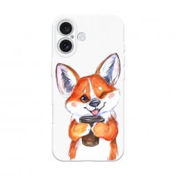  ����� � ���� �� iPhone 16 Plus