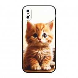 ������� ����������� ����� ��������� ������ �� iPhone XS (10S)