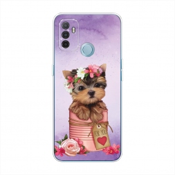 ����������� ����� ϸ��� ��� ���� �� Oppo A53
